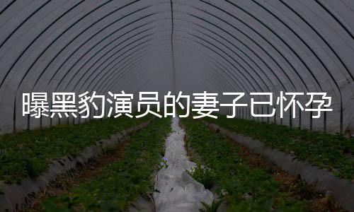 人爆知情子个孩妻子豹演曝黑想要他们员的已怀孕 一直